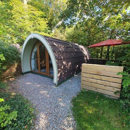 Priory Glamping Pods And Guest Accommodation 킬라니 외부 사진