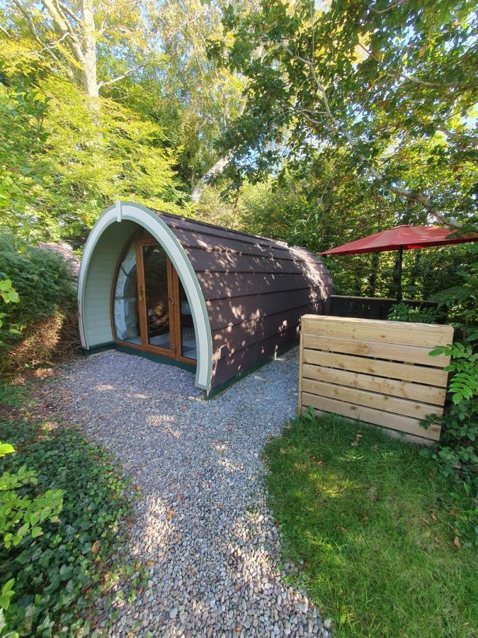 Priory Glamping Pods And Guest Accommodation 킬라니 외부 사진