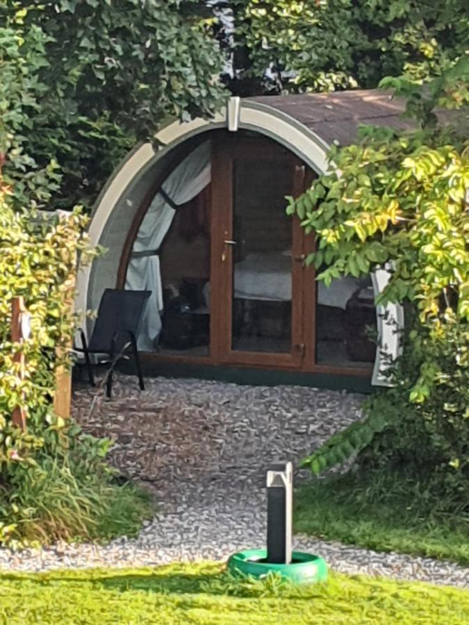 Priory Glamping Pods And Guest Accommodation 킬라니 외부 사진