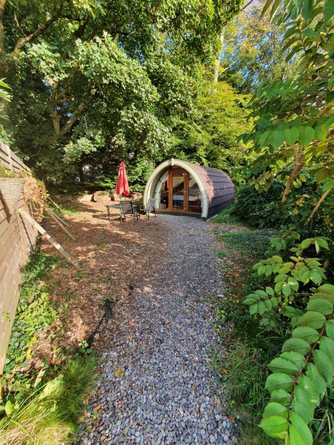 Priory Glamping Pods And Guest Accommodation 킬라니 외부 사진