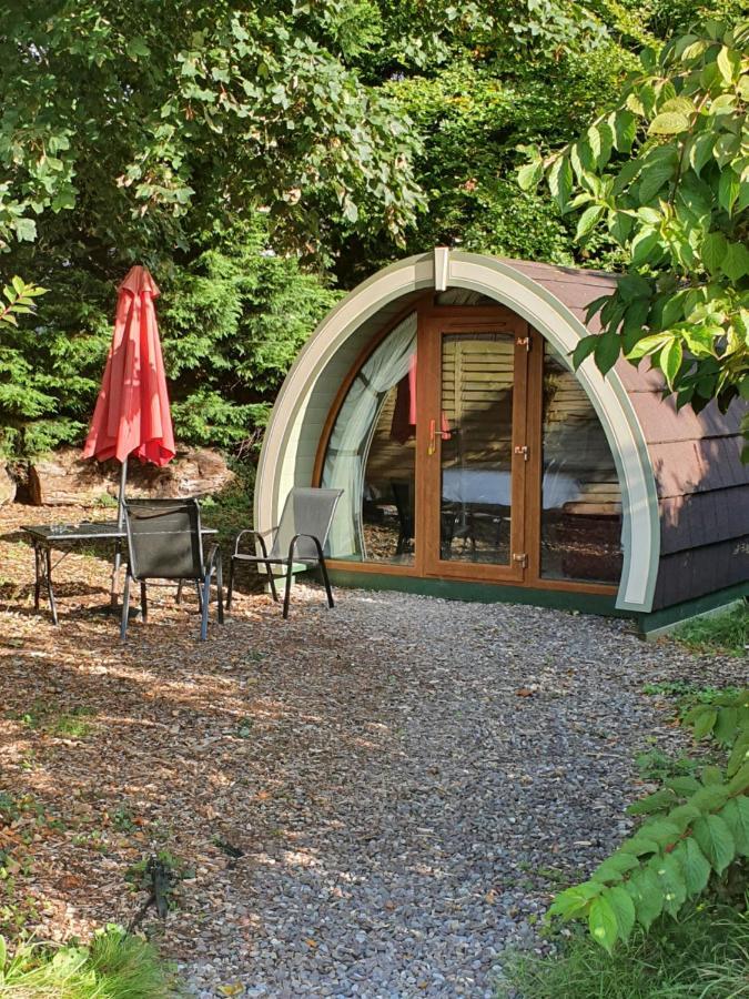 Priory Glamping Pods And Guest Accommodation 킬라니 외부 사진