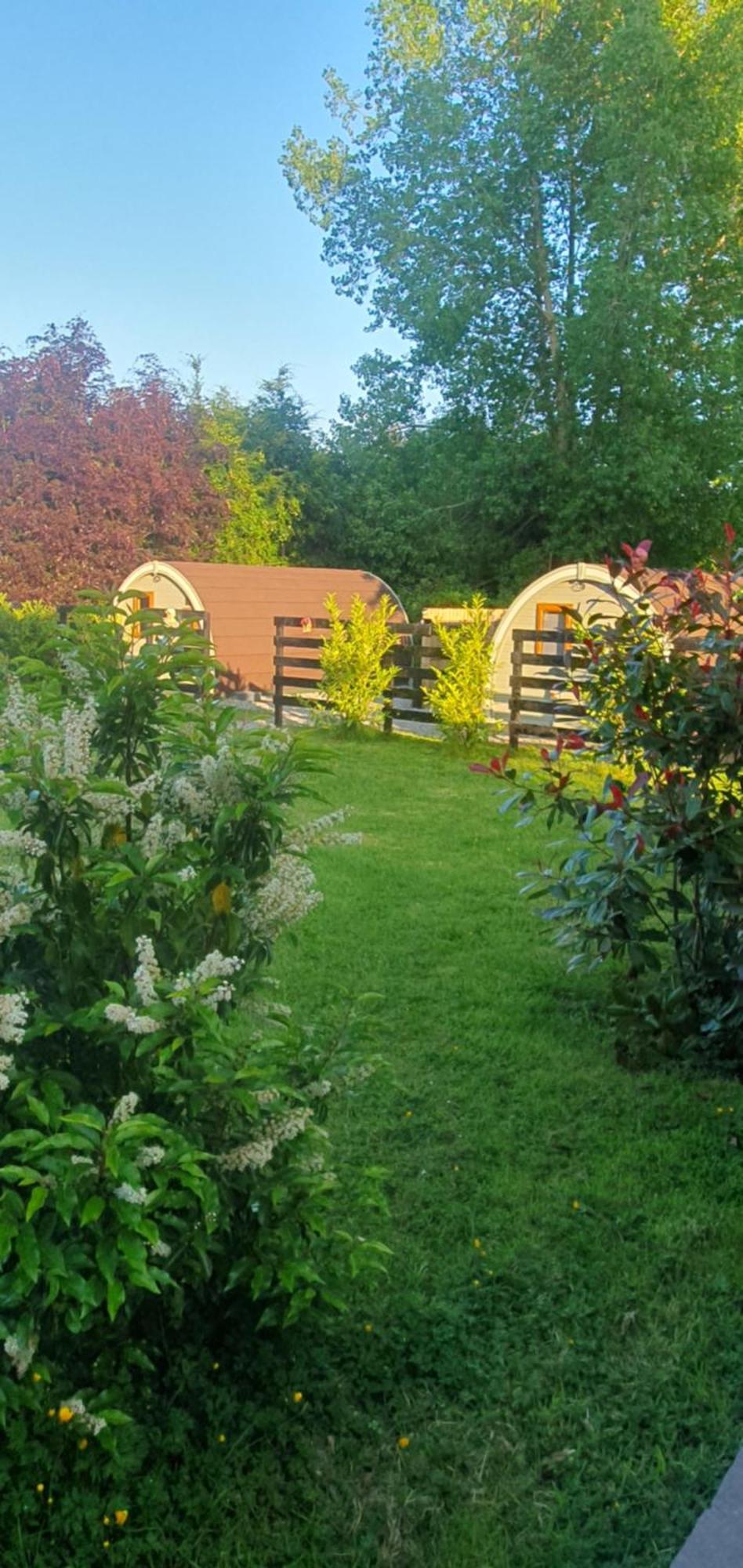 Priory Glamping Pods And Guest Accommodation 킬라니 외부 사진