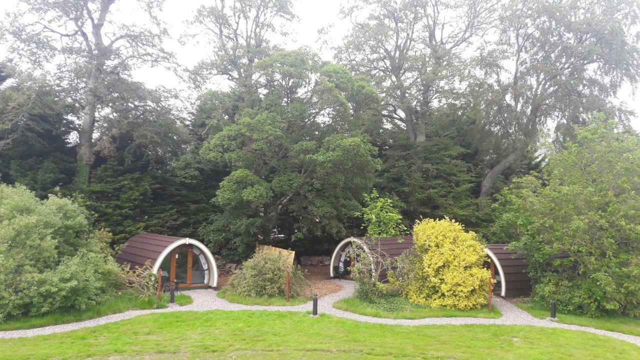 Priory Glamping Pods And Guest Accommodation 킬라니 외부 사진