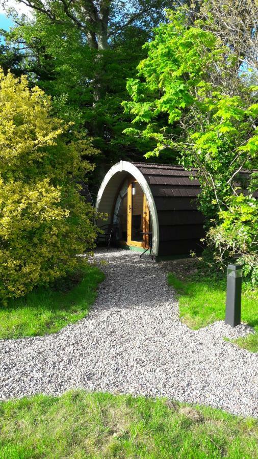 Priory Glamping Pods And Guest Accommodation 킬라니 외부 사진