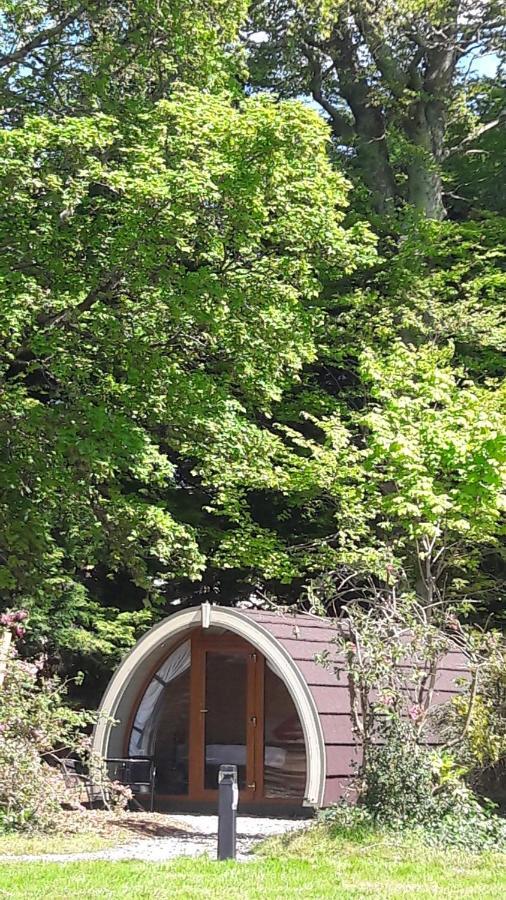 Priory Glamping Pods And Guest Accommodation 킬라니 외부 사진