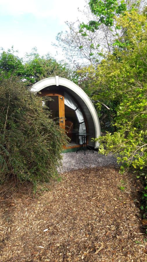 Priory Glamping Pods And Guest Accommodation 킬라니 외부 사진