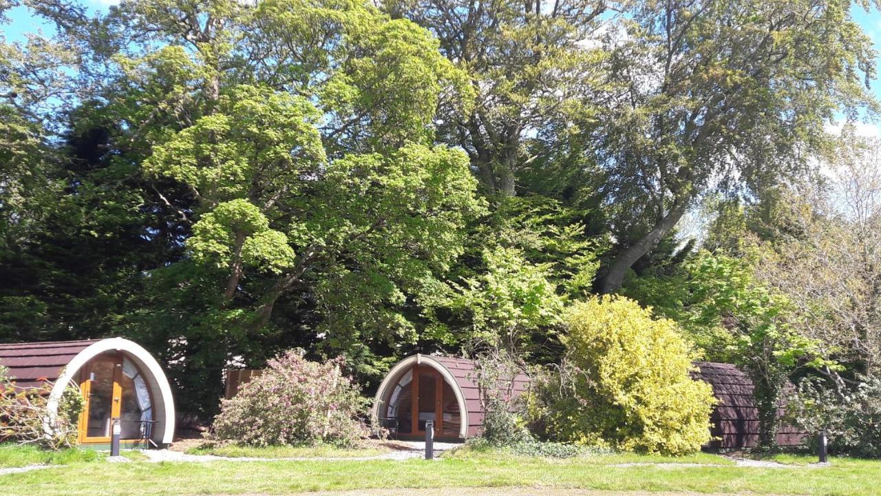 Priory Glamping Pods And Guest Accommodation 킬라니 외부 사진